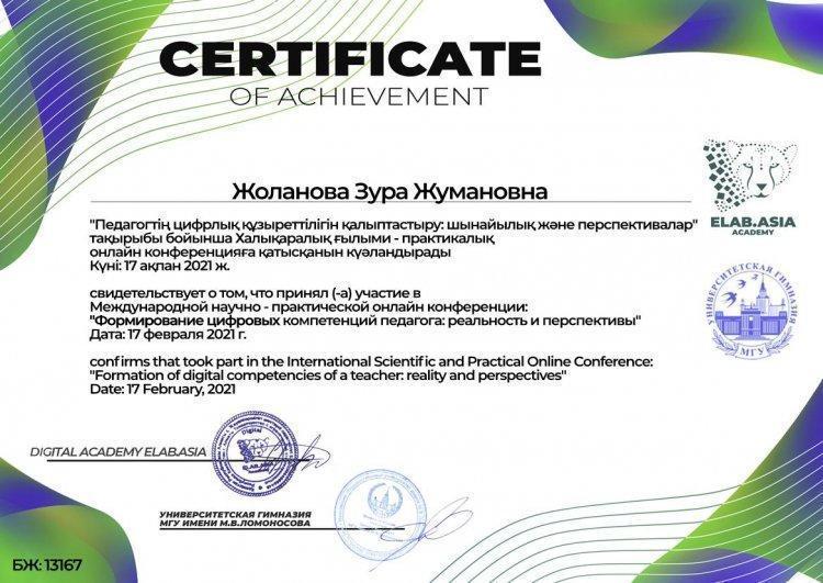 Онлайн конференция