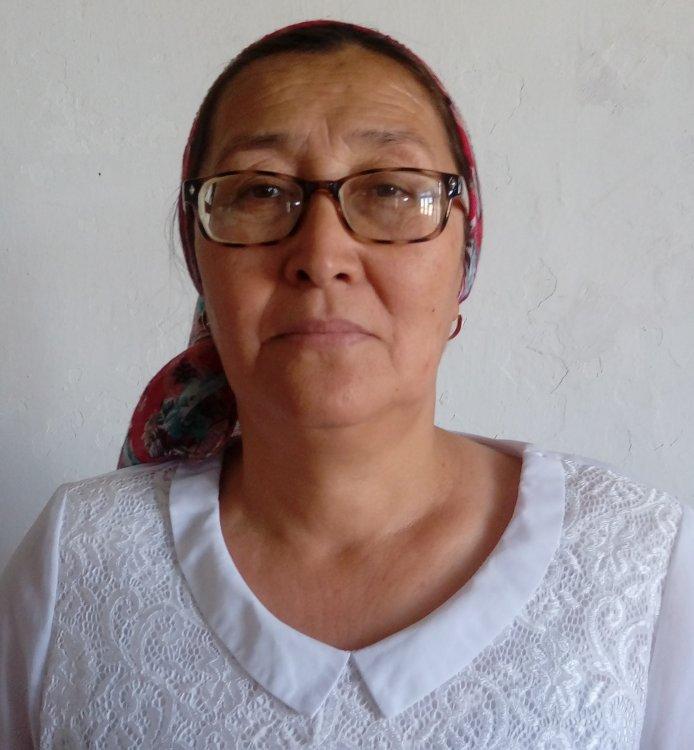 Онлайн олимпиада жүлдегері