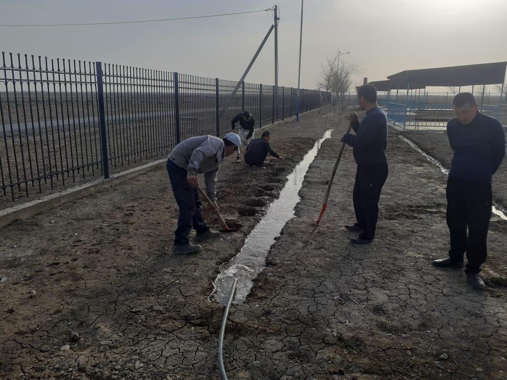 Тазалық жұмысы