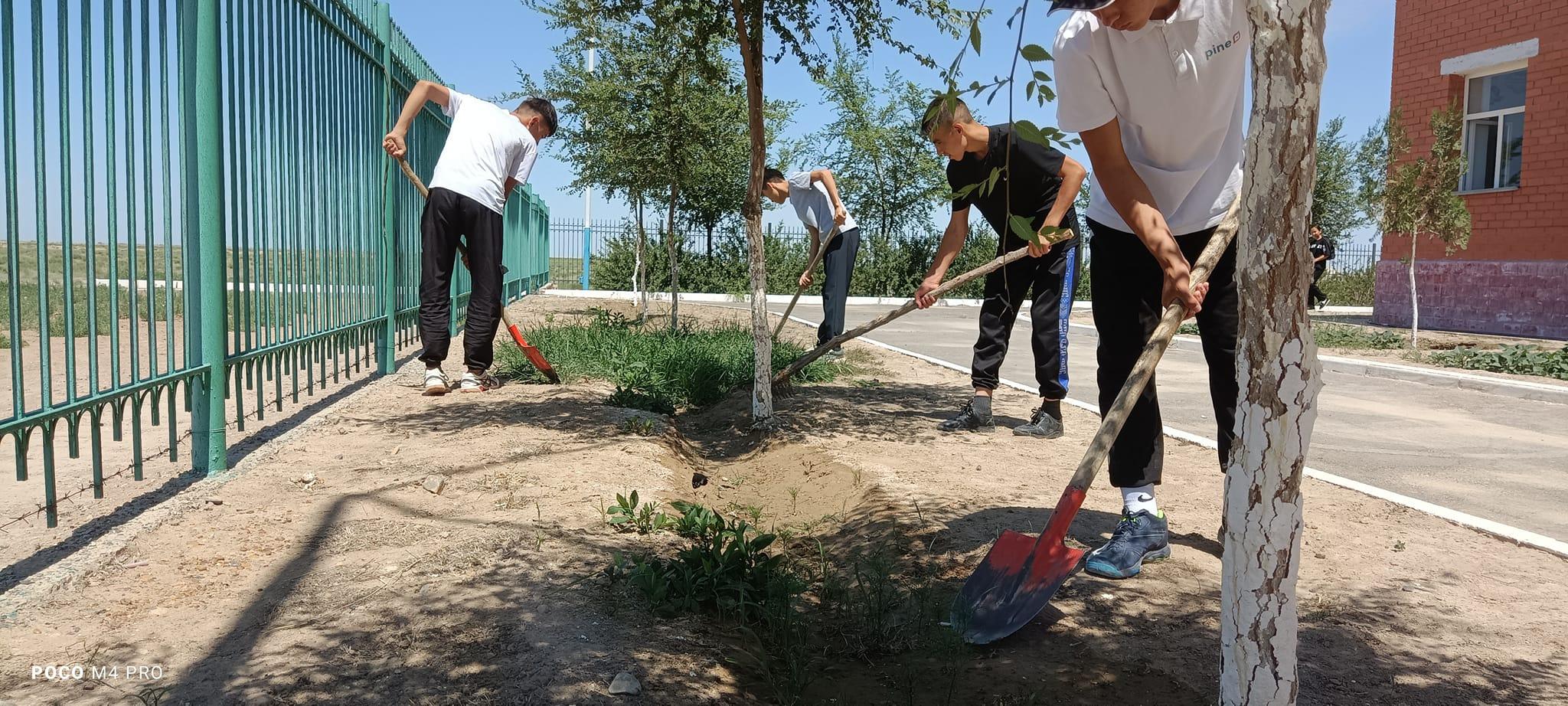 "Жас құрылысшы" күндізгі еңбек-тынығу лагері