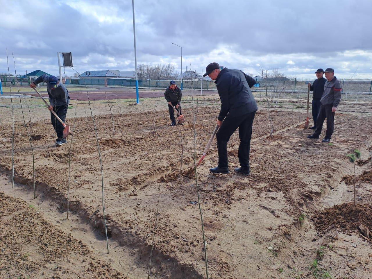 ТАЗАРУ КҮНІ