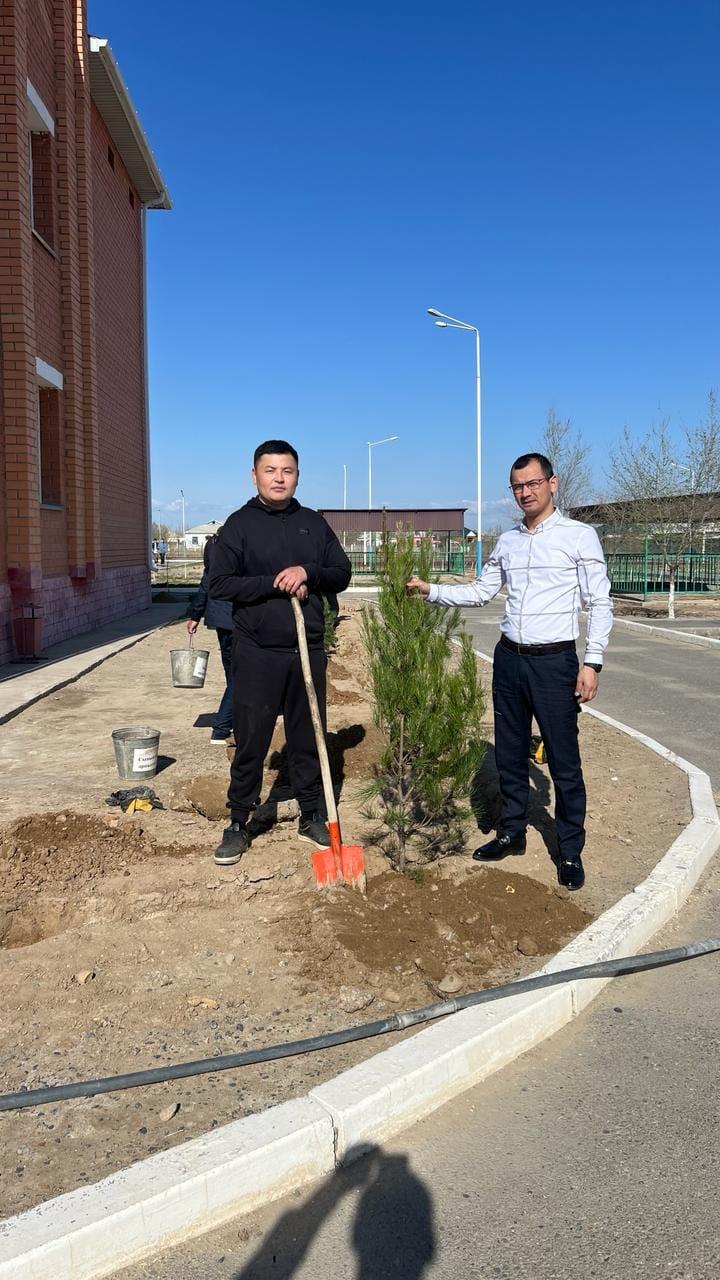 Көгалдандыру жұмыстары